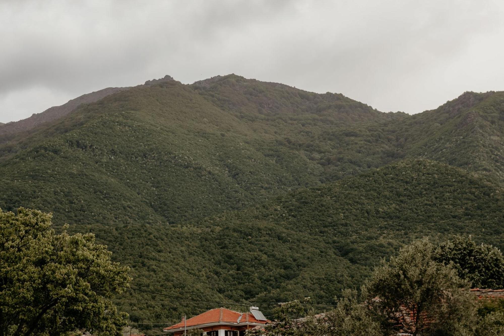 Akritochori Stella'S House公寓 外观 照片